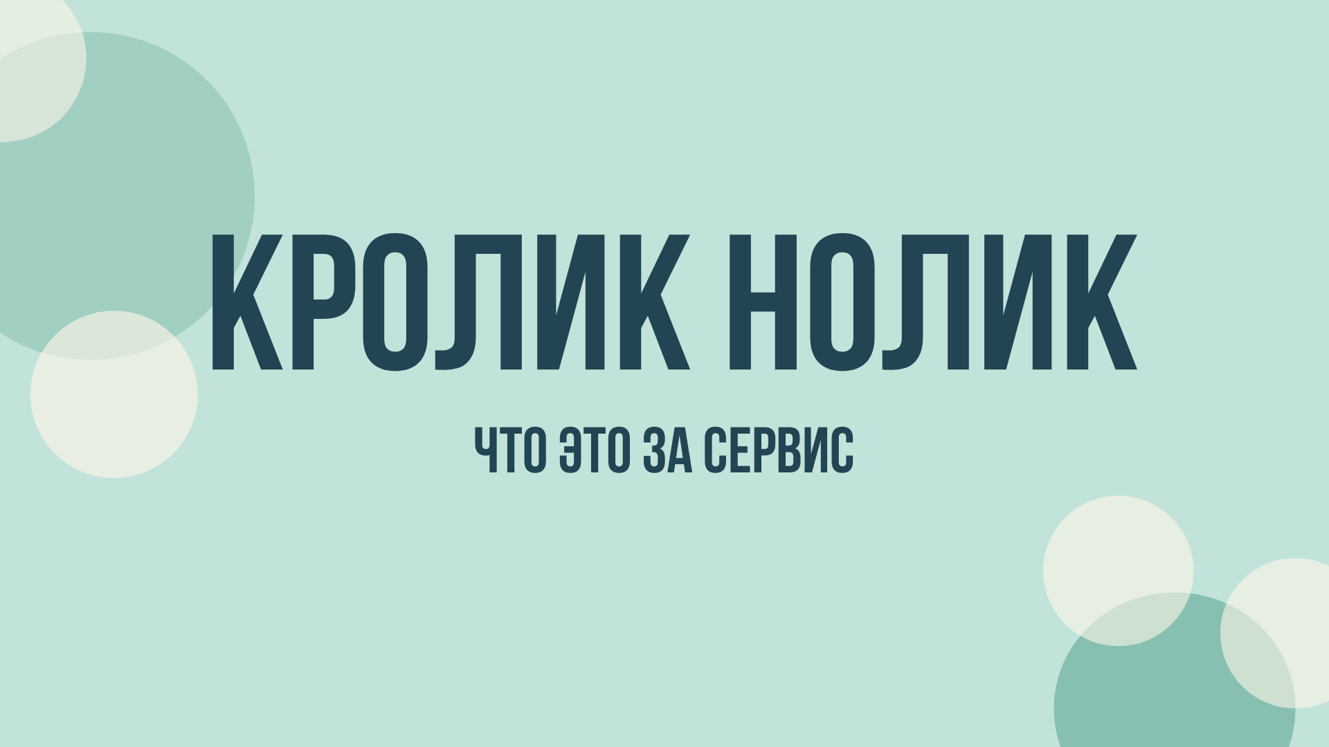 кролик нолик займ взять