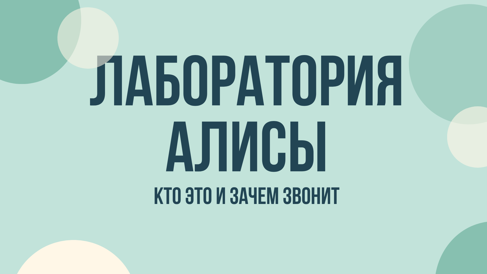 ООО Лаборатория Алисы что это и зачем звонят